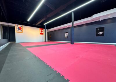 Interior of a martial arts dojo with pink and gray tatami mats, blue walls, and wall flags (South Korea and Canada) hanging near the corner.